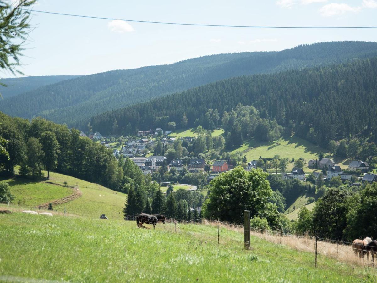 Homey Chalet In Breitenbrunn Rittersgrun Εξωτερικό φωτογραφία